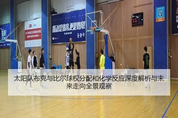 太阳队布克与比尔球权分配和化学反应深度解析与未来走向全景观察